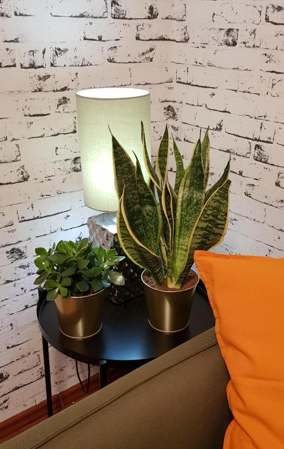 Apartman I Studio Apartman Majoli Kukuljanovo 외부 사진
